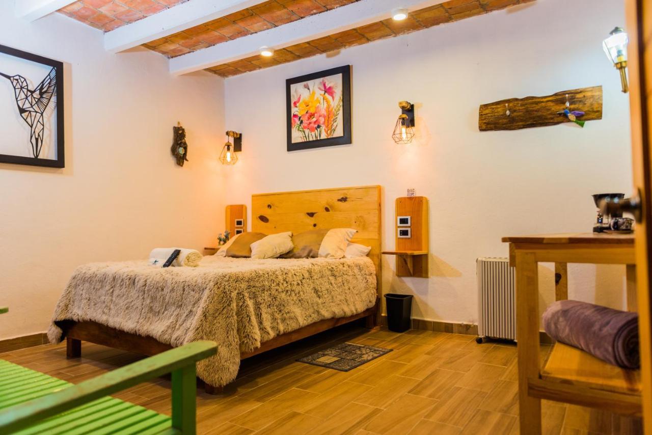 Hotel Colibri Pozos  Εξωτερικό φωτογραφία